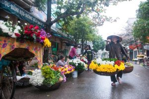 goc-pho-day-hoa-ha-noi