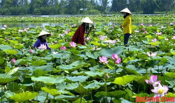 Xe đưa đón sân bay Tân Sơn Nhất đi Đồng Tháp