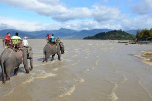 Xe Đưa Đón Sân Bay Buôn Ma Thuột Cư M’gar