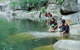 Xe Đưa Đón Sân Bay Buôn Ma Thuột Krông Bông