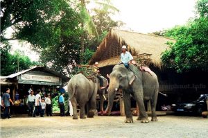 Xe Đưa Đón Sân Bay Buôn Ma Thuột Cư Kuin