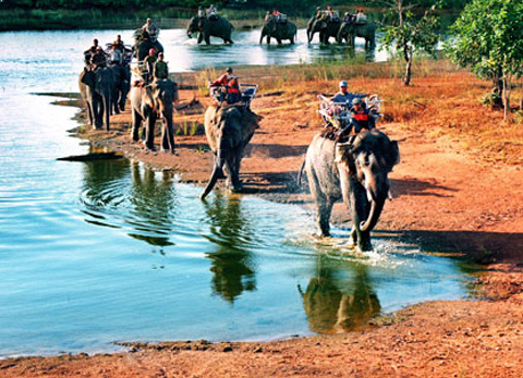 Xe Đưa Đón Sân Bay Buôn Ma Thuột Lắk