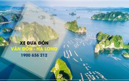 Xe đưa đón sân bay Vân Đồn Hạ Long