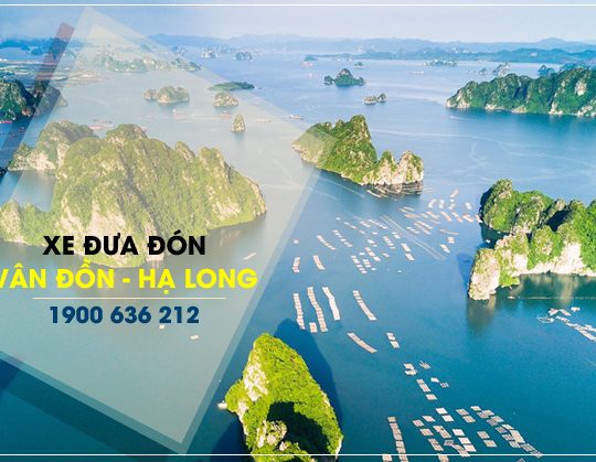 Xe đưa đón sân bay Vân Đồn Hạ Long