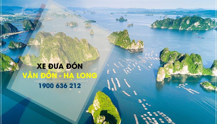 Xe đưa đón sân bay Vân Đồn Hạ Long